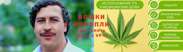 амф Абаза